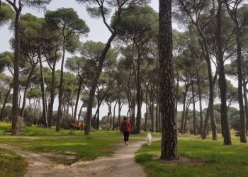 Alianza Verde insta al Ayuntamiento de Pozuelo de Alarcón a que no destruya el paraje natural de Montegancedo 