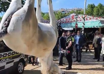 PACMA pide que se investigue la muerte de un caballo en la Feria de Sevilla
