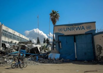 Argelia y quince países piden impulso a la financiación de la UNRWA