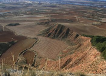 Castilla-La Mancha estudia la ampliación de las ZEPAs de aves esteparias y la creación de nuevas zonas protegidas