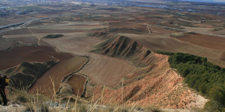 Castilla-La Mancha estudia la ampliación de las ZEPAs de aves esteparias y la creación de nuevas zonas protegidas