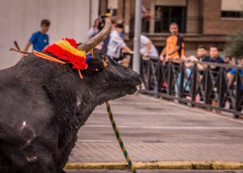 Por fin se acabó el Premio Nacional a la tauromaquia que nos costaba 30.000 €