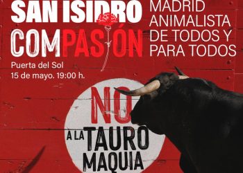 PACMA denuncia la inversión de casi 6 millones de euros públicos solo en fundaciones taurinas y ganaderías de lidia