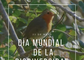 Alianza Verde pide, en el Día Mundial de la Biodiversidad, hacer un esfuerzo global para sacar adelante la Ley para la Restauración de la Naturaleza 