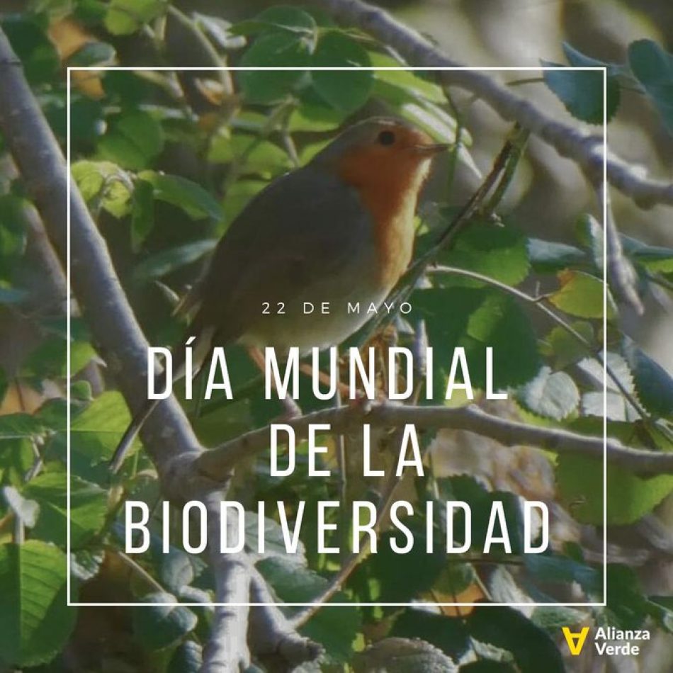 Alianza Verde pide, en el Día Mundial de la Biodiversidad, hacer un esfuerzo global para sacar adelante la Ley para la Restauración de la Naturaleza 