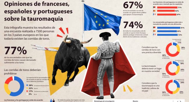 Encuesta revela que la mayoría de los ciudadanos de países taurinos europeos están en contra de la tauromaquia