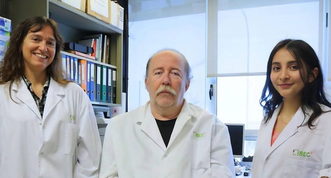 Nuevo biomarcador para detectar alzhéimer antes de que aparezcan los síntomas