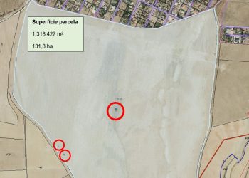 La pistachera del Jarama arranca de cuajo el majestuoso “viejo fresno” de Silillos