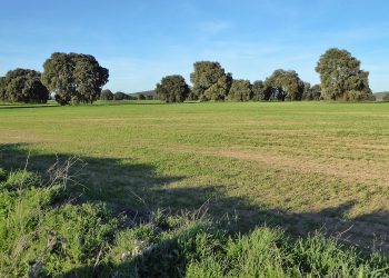 Sí a la Tierra Viva pide responsabilidad institucional a la Consejería de Desarrollo Sostenible y advierte que judicializará el proyecto de Quantum Minería para buscar tierras raras en Ciudad Real si la Junta de Castilla-La Mancha lo autoriza