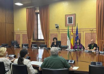 Representantes del sector sanitario apoyan la Ley contra la Discriminación por la Menopausia de Adelante Andalucía