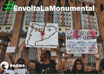 PACMA convoca a un acto de protesta en la plaza de toros La Monumental (Barcelona) este jueves