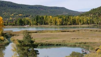 Organizaciones ambientales reclaman un plan de gestión de ZEPA en Castilla-La Mancha compatible con la biodiversidad