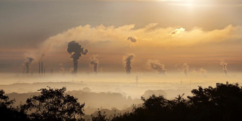 FSC-CCOO: «Día Mundial del Medio Ambiente: Nos jugamos el futuro»
