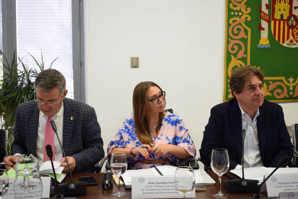 El Grupo Municipalista en la FEMP requiere al Ministerio de Vivienda una “apuesta clara por la vivienda en alquiler” y una “línea de financiación directa a los ayuntamientos”