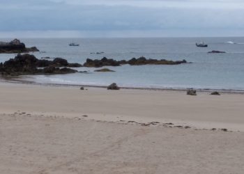 «Nos seguimos oponiendo al arranque del ocle por su elevado impacto ambiental»