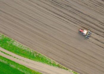 Las organizaciones ambientales presentan al ministro Planas su visión conjunta de la Política Agraria Común