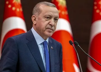 Alto al golpe político de Erdoğan – ¡Defendamos la voluntad de los votantes kurdos!