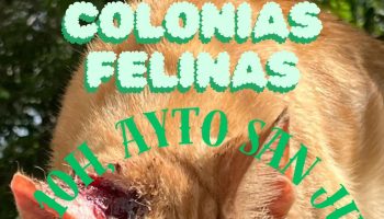 Convocan concentración a las puertas el Ayto. de San Juan de Aznalfarache para exigir el cumplimiento de la Ley de Bienestar Animal