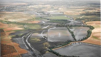Alianza Verde pide a la Junta de Andalucía que suspenda la autorización de la mina de Aznalcóllar