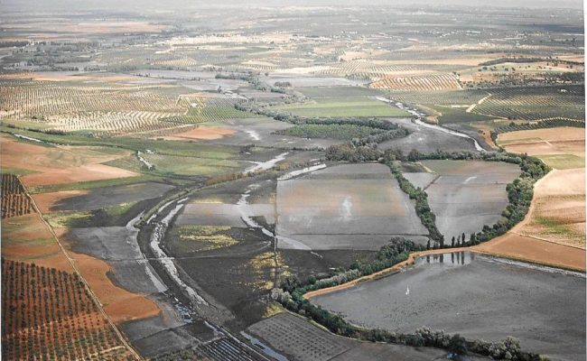 Alianza Verde pide a la Junta de Andalucía que suspenda la autorización de la mina de Aznalcóllar