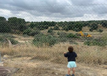 Solicitan la paralización cautelar de las obras de urbanización y las talas del bosque Montegancedo en Pozuelo de Alarcón