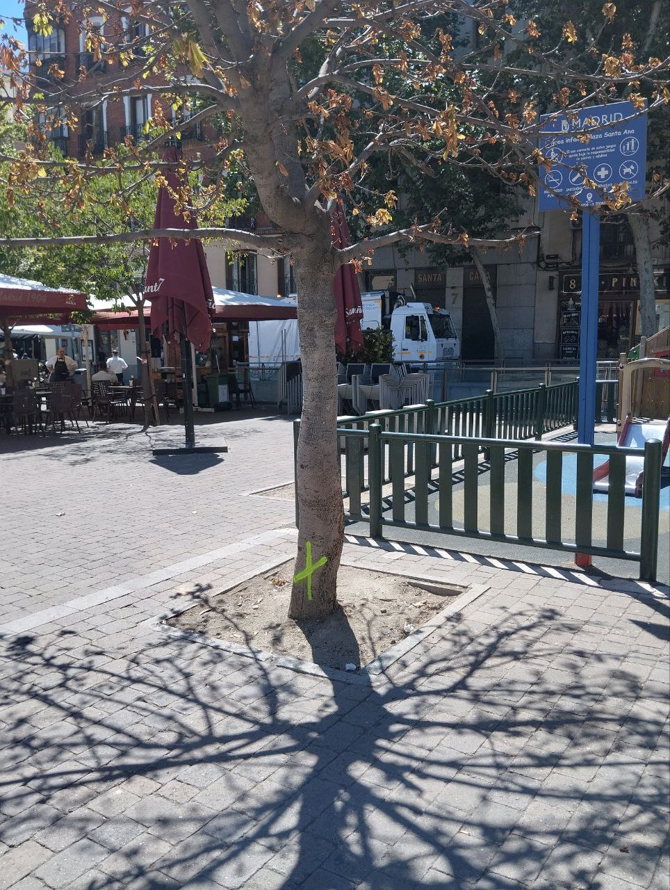 La vecindad, en pie de guerra contra la tala de los árboles de la plaza ...