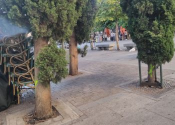 Presentación del proyecto alternativo de reparación del parking de la plaza de Santa Ana que evitaría la tala de la mayoría de sus árboles