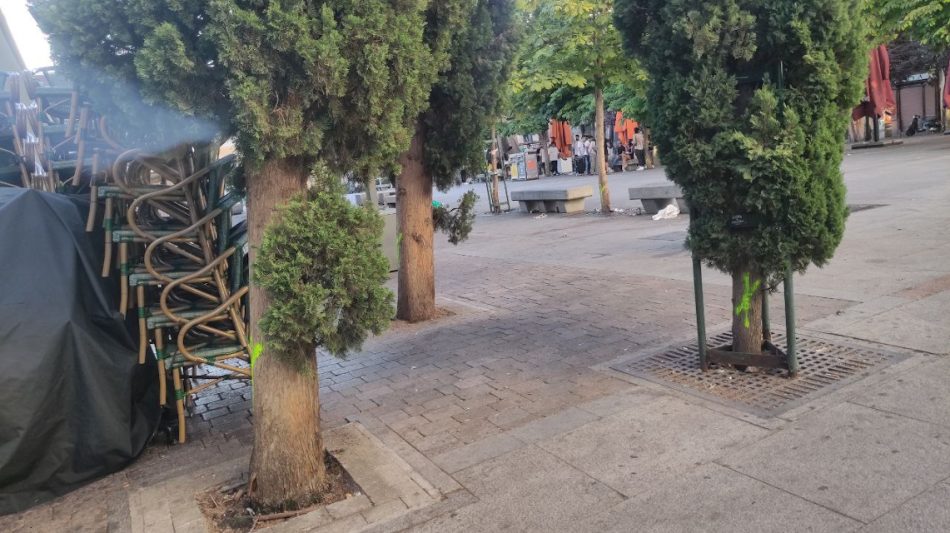 Presentación del proyecto alternativo de reparación del parking de la plaza de Santa Ana que evitaría la tala de la mayoría de sus árboles