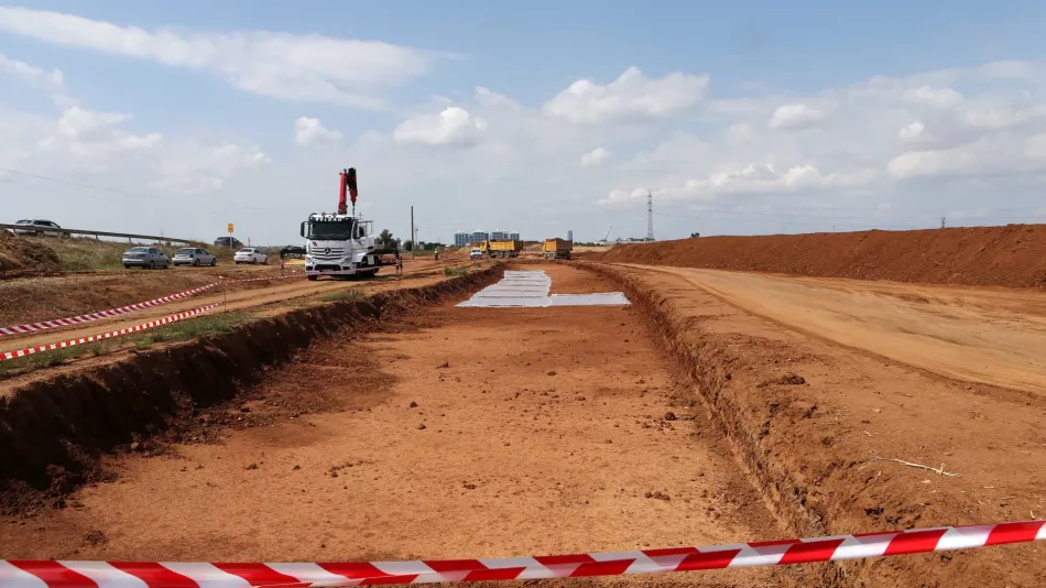 Ecologistas en Acción denuncia la tala de 600 árboles por las obras de la línea 3 del metro de Sevilla