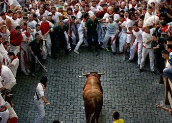 PACMA cuestiona el despilfarro público en San Fermín