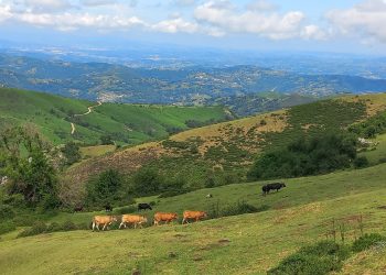 Cientos de recursos presentados contra la mina de Peñamayor en Nava, Asturias