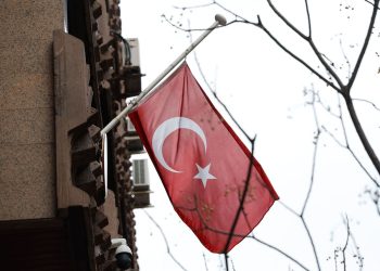 PACMA y Madrid Animal Save se movilizan contra la nueva ley que provocará un «genocidio canino» en Turquía