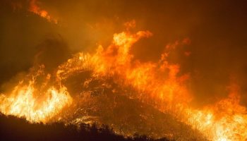 Casi 300.000 evacuados por incendios forestales en Francia