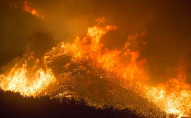 Casi 300.000 evacuados por incendios forestales en Francia