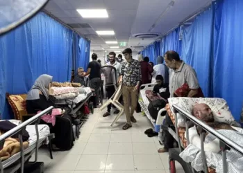 “Israel ha devastado todo el sistema de atención médica”: La cruda carta de 45 médicos voluntarios en Gaza dirigida a Joe Biden