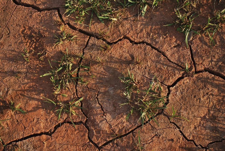 «Sin agua en Teulada (Alicante): Las causas ocultas»