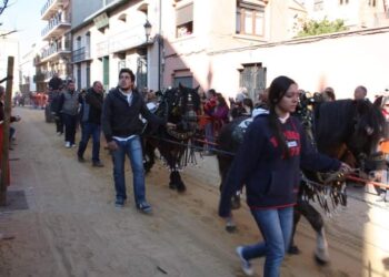 La plataforma animalista de Burjassot pide al Ayuntamiento que cese el uso de caballos en eventos y plantea otras cuestiones por la protección animal