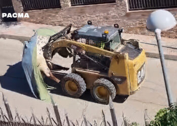 PACMA condena un brutal encierro y novillada en Morata de Tajuña con dos cabestros muertos a cornadas