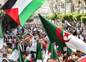 Manifestaciones en varias capitales africanas en apoyo al pueblo palestino