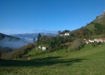 Coordinadora Ecoloxista d’Asturies:  «Es necesaria la instalación de una planta de biomasa de Cabrales pero no de cualquier forma»