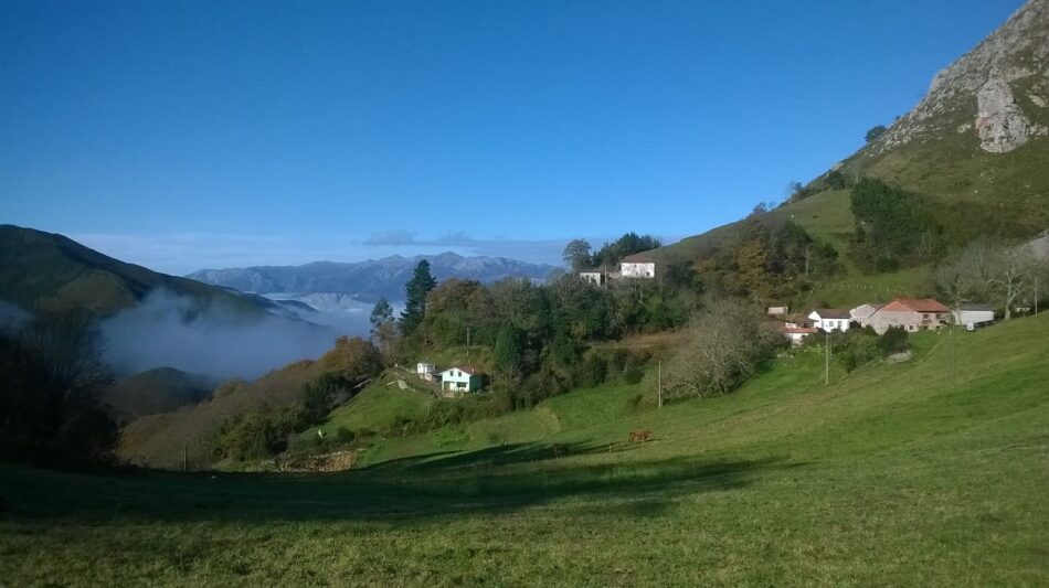 Coordinadora Ecoloxista d’Asturies: «Es necesaria la instalación de una planta de biomasa de Cabrales pero no de cualquier forma»