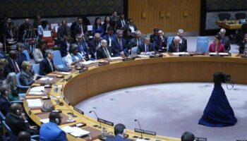 El Consejo de Seguridad aplaza votación sobre el «uso de la fuerza» en el estrecho de Ormuz