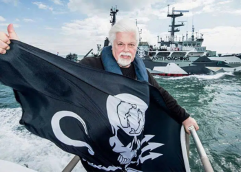 Alianza Verde pide al gobierno de España que apoye la solicitud de asilo político de Paul Watson en Francia
