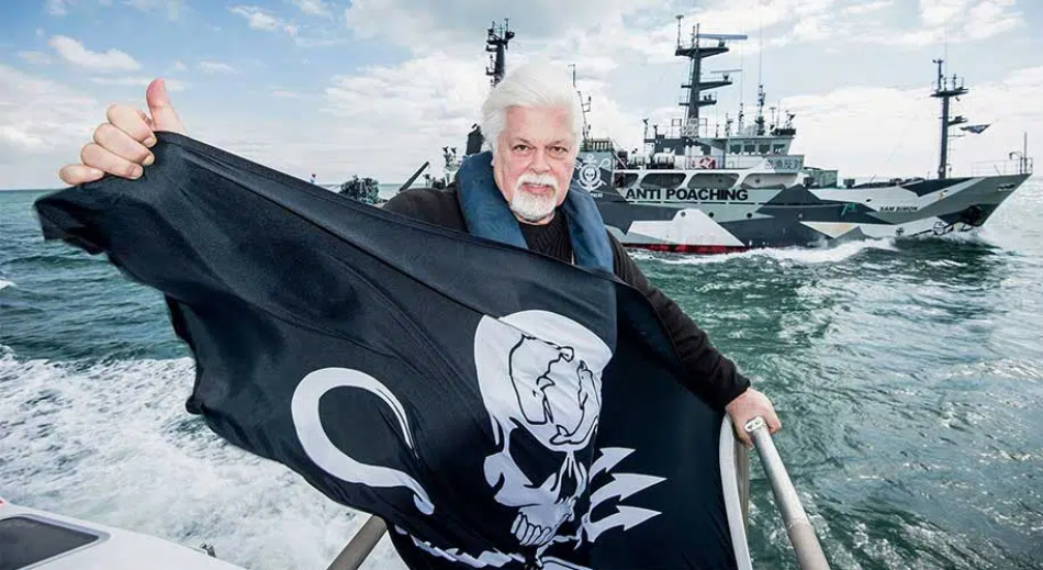 Alianza Verde pide al gobierno de España que apoye la solicitud de asilo político de Paul Watson en Francia