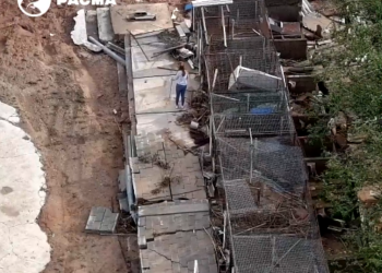 Indignación en redes tras hallarse en el cauce de un barranco una rehala de perros arrasada por la DANA