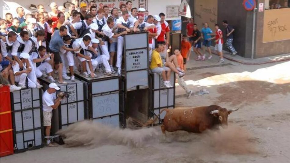 Animalistas presentan recurso por la muerte de dos toros en El Puig (Valencia)