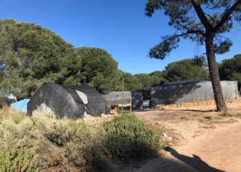 APDHA exige “la actuación urgente de la administración local y autonómica para proteger a los temporeros y temporeras”