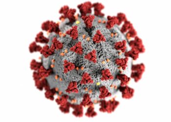 Crean un antiviral contra la covid basado en una sustancia del caparazón de crustáceos