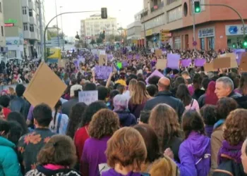 Marea Violeta Jerez pregunta al concejal de VOX Antonio Fernández por el número de mujeres que tienen que ser asesinadas para que se una al Pacto de Estado contra los asesinatos machistas