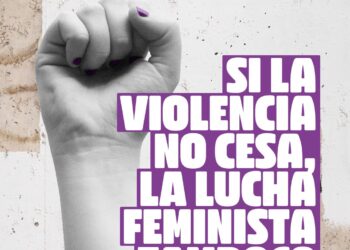 Izquierda Unida: ‘Si la violencia no cesa, la lucha feminista tampoco’